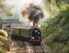 025-34053-Groombridge-Jctn-on-16.10-Eridge-14Sept-2024.jpg