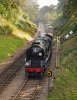 035-34053-arrive-Groombridge-Jctn-on-16.10-Eridge-14Sept-2024.jpg