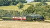 AshfordBowdler-2024-09-18- 34042Braunton+D1924-4.jpg