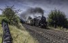 Dalesman 44871 1 NP.jpg