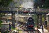020-34053-arr-Groombridge-on-14.20-Eridge-21Sept-2024.jpg