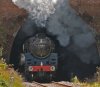 046-73082-Sharpthorne-tunnel-l3.00-Sheffield-Park-CROP-22Sept-2023.jpg