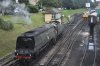 DSC_0028r.jpg