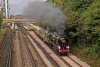 006-35028-Golden-Arrow-10.59-Vic-to-Dover-Priory-at-Bromley-S-26Sept-2024.jpg