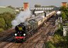 019-35028-Golden-Arrow-13.51-Dover-Priory-to-Vic-at-Paddock-Wood-26Sept-2024.jpg