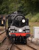 019-80151-arr-H-Keynes-on-14.05-E-Grinstead-29Sept-2024.jpg