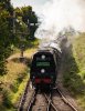 070-34072-approach-Ropley-on-14.35-ACE-from Alresford-4Octo-2024.jpg