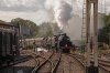 018-73082-34059-arr-H-Keynes-on-12.45-S-Park-11Oct-2024.jpg