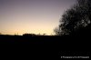 DSC_0534.JPG