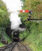 4144 run round alresford.JPG