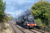 _24Z5016 44871 Yorton 181024.jpg
