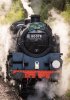 009-80078-arr-Groombridge-on-13.15-Eridge-19Oct-2024.jpg
