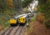 007-80078-D7535-11.45-Eridge-cross-1317-11.45-TWW-Groombridge-20Oct-2024.jpg