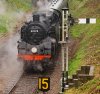 010-02-80078-Groombridge-13.15-Eridge-20Oct-2024.jpg