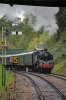 019-80078-arr-Groombridge-16.30-Eridge-20Oct-2024.jpg