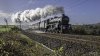 Northern Belle 45212 2 1 NP.jpg