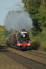DSC06799.jpg