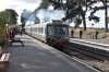 DSC_0380b.jpg
