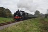 DSC_0368r.jpg