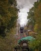043-34053-on-app-14.45-Birchden-Jctn-climb-to-Gbrdge-Jctn-2Nov-2024-Bryan-B.jpg