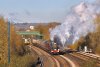 115A3129 (2).jpeg
