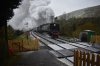 DSC_0487r.jpg