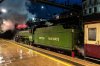 61306 Preston.jpg