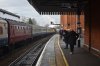 DSC_0608r.jpg