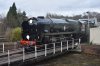 DSC_0620r.jpg