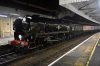 DSC_0653r.jpg