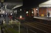 DSC_0647r.jpg