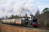 DSC08547.jpg