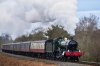 DSC08558.jpg