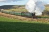 DSC_0762r.jpg