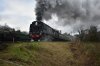 DSC_0772r1.jpg