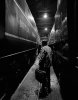 IMG_2241.jpeg