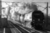 Tangmere-(37)-bw-facebook.jpg