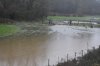 DSC_1031r.jpg