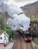 _25Z0135 46100 Conwy 130125.jpg