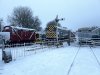 IMG_7412.jpeg