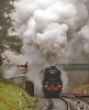 100a-34053-12.50-Eridge-at-Groombridge-Jctn-8Feb-2025.jpg