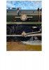 IMG_0805.jpeg
