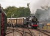 013-73082-arr-H-Keynes-on-Golden-Arrow-12.25-S-Park-29Sept-2024.jpg