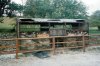 B.R. cattle wagon body Embsay.jpg