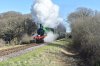 DSC_0150r.jpg