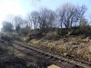 DSCF2857.JPG