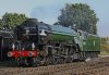 IMG_1409ers.jpg