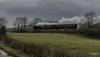 Tornado LE 3 NP.jpg