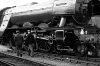 Flying Scotsman at the Bluebell Railway 13.04.17 072.JPG