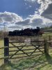 IMG_0053.JPEG